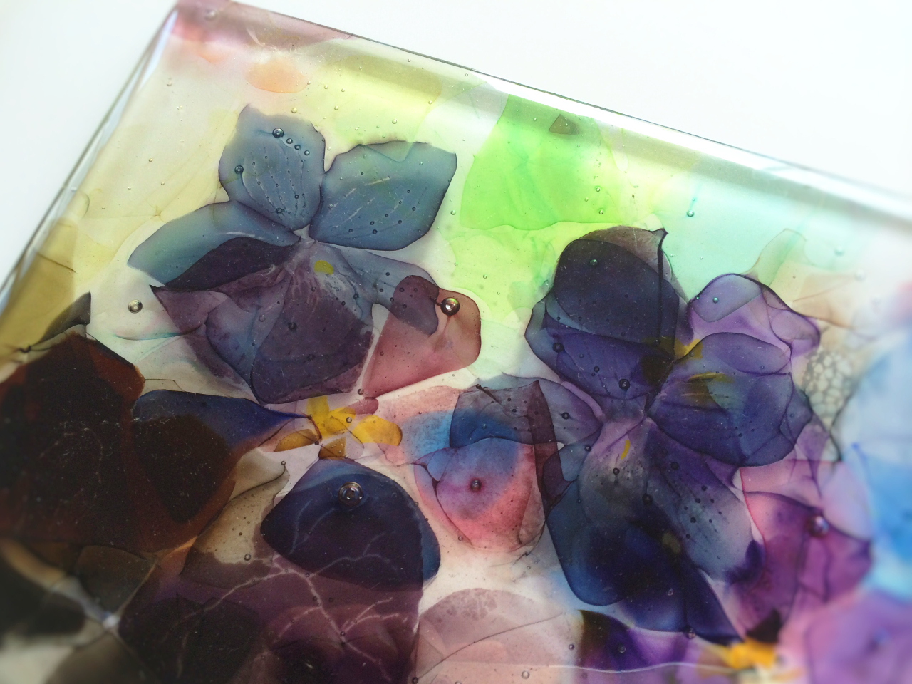 �n�����񂾃K���X�͂܂�Ő��ʉ�̗l