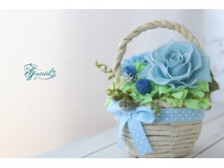 ドットリボンところんとキュートなバスケットで作る、バスケットアレンジメント(開花体験付)