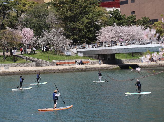 穏やかな紫川はサップ初めてさんにも安心
