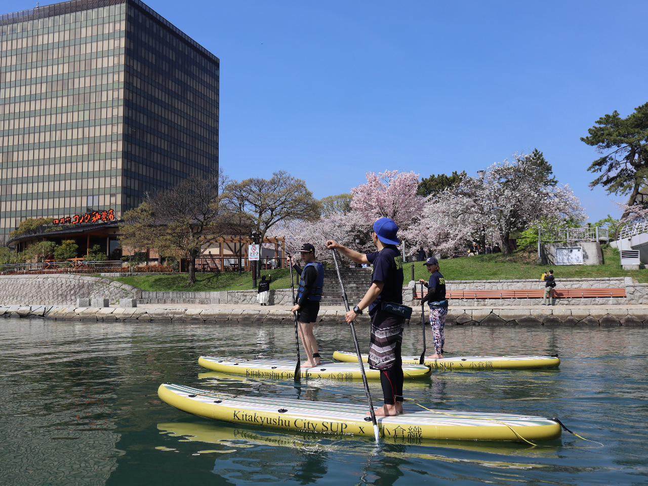 春には桜が満開です