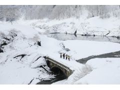 錦秋湖周辺は時期によって水位の変化があり、コースも変動したりします。