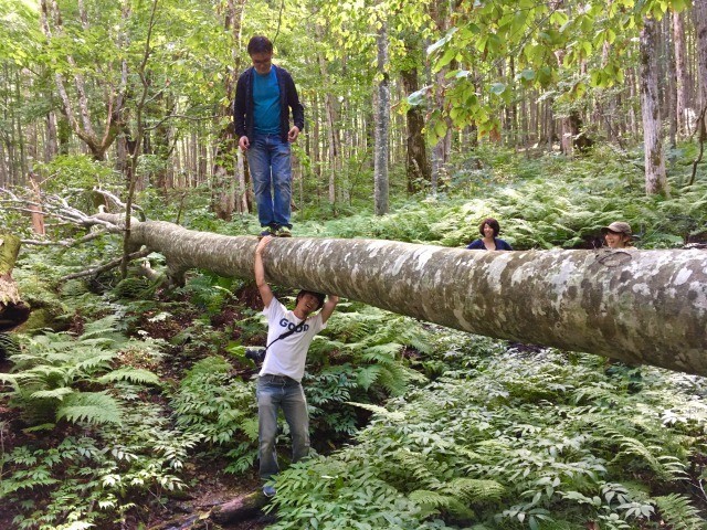 ほとんど人が入らない森は眠っている感受性を開放させてくれます。