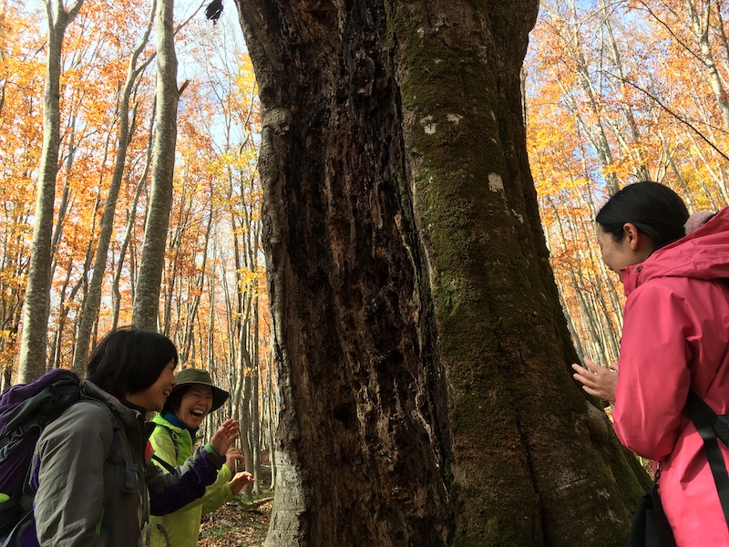 たくさんの木々の中で自然との交歓をしましょう。