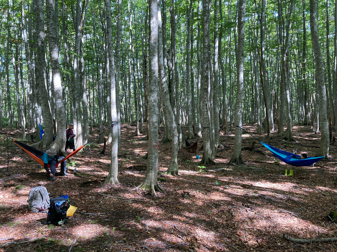 昼食の後はハンモックでリラックスタイム