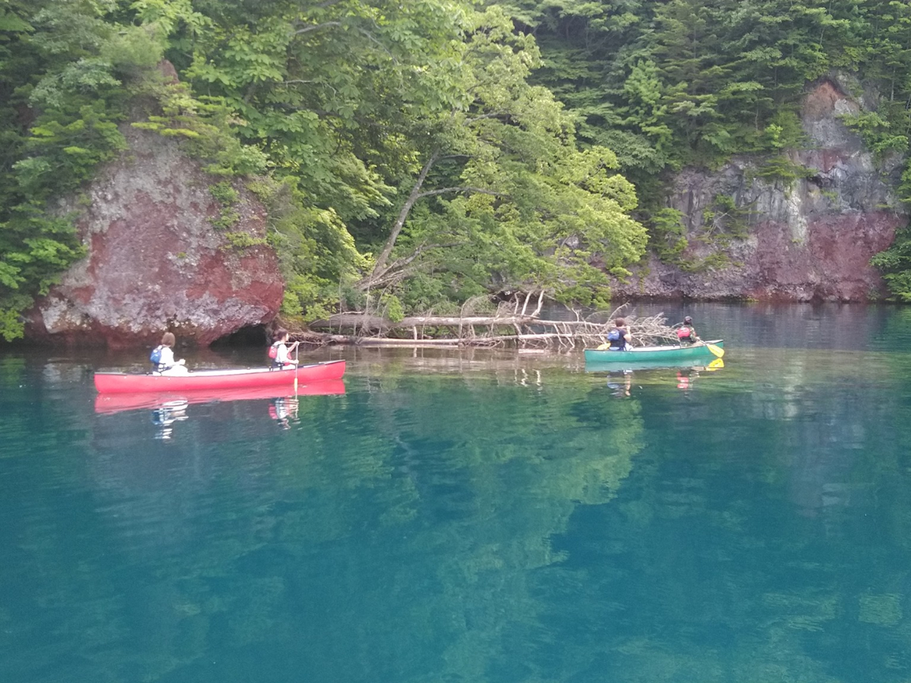 nw}jAɂlCI@̐Âȓ]ŃJk[݂ɑ悤K܂B