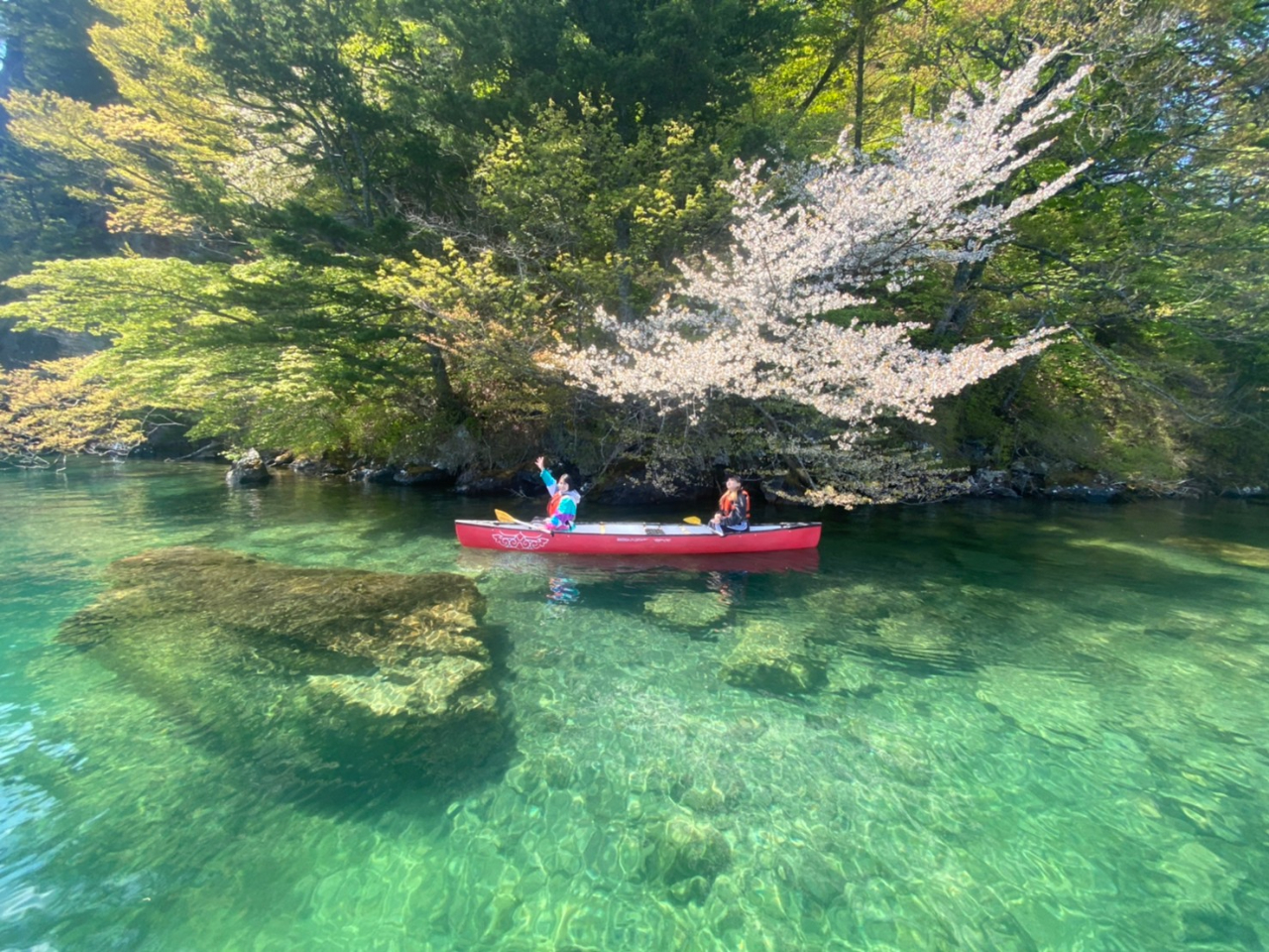 (k) ィト°ムヵの入り江【カヌーツアー】 初めての方、お子様歓迎! 奥入瀬渓流...