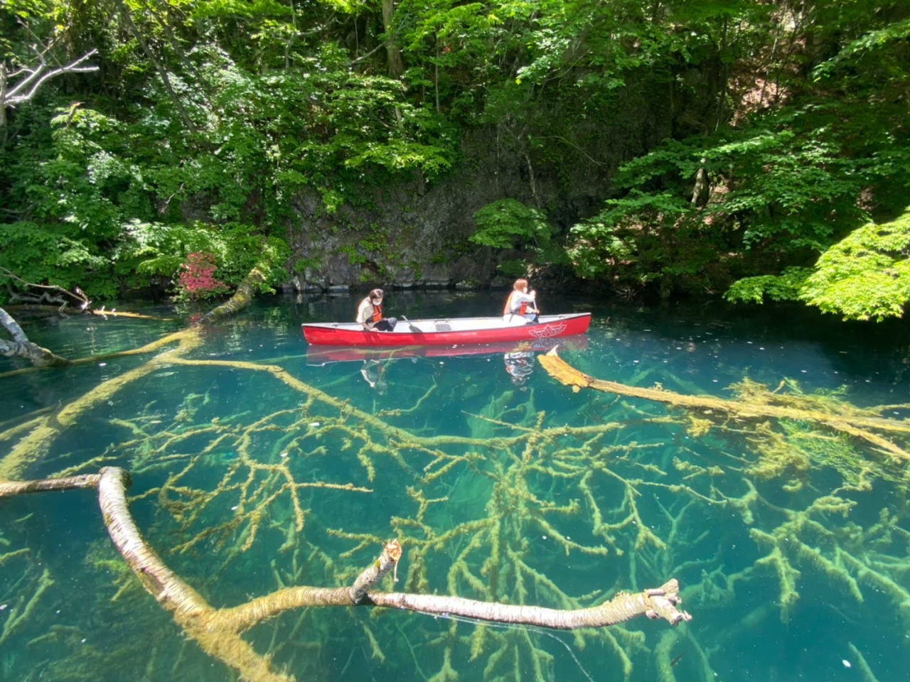 Eő̓dJf΂ŃJk[@ʓrIvVv