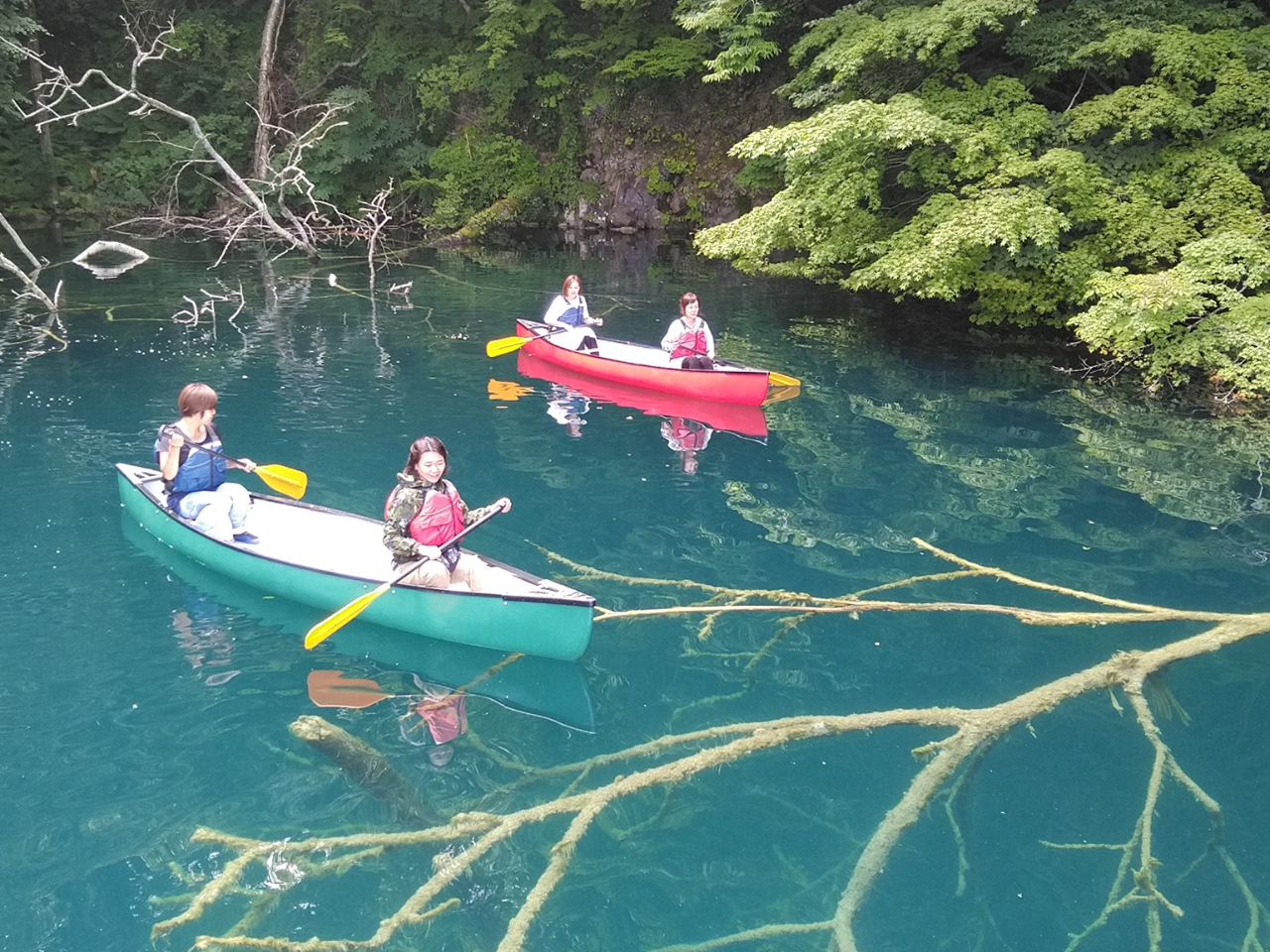 Ahx`[Jk[cA[ł߂Ă̕ȒPɎQł܂