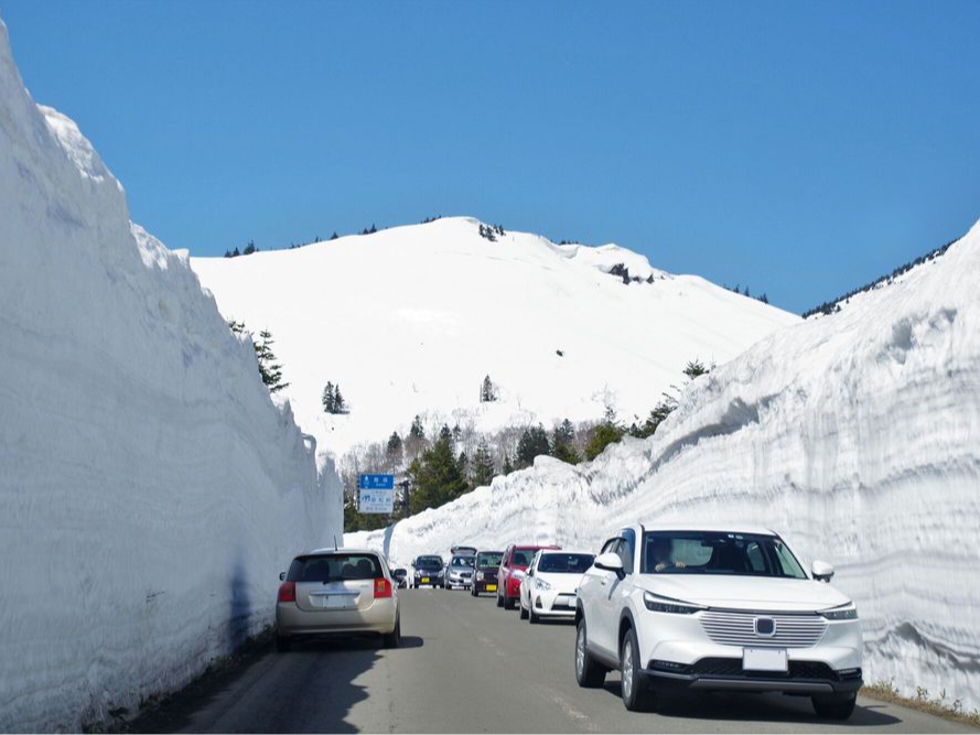 �\�a�c�΂܂ł̓��B �T�������ς��͔��b�c�R�͐�̉�L�ł��B