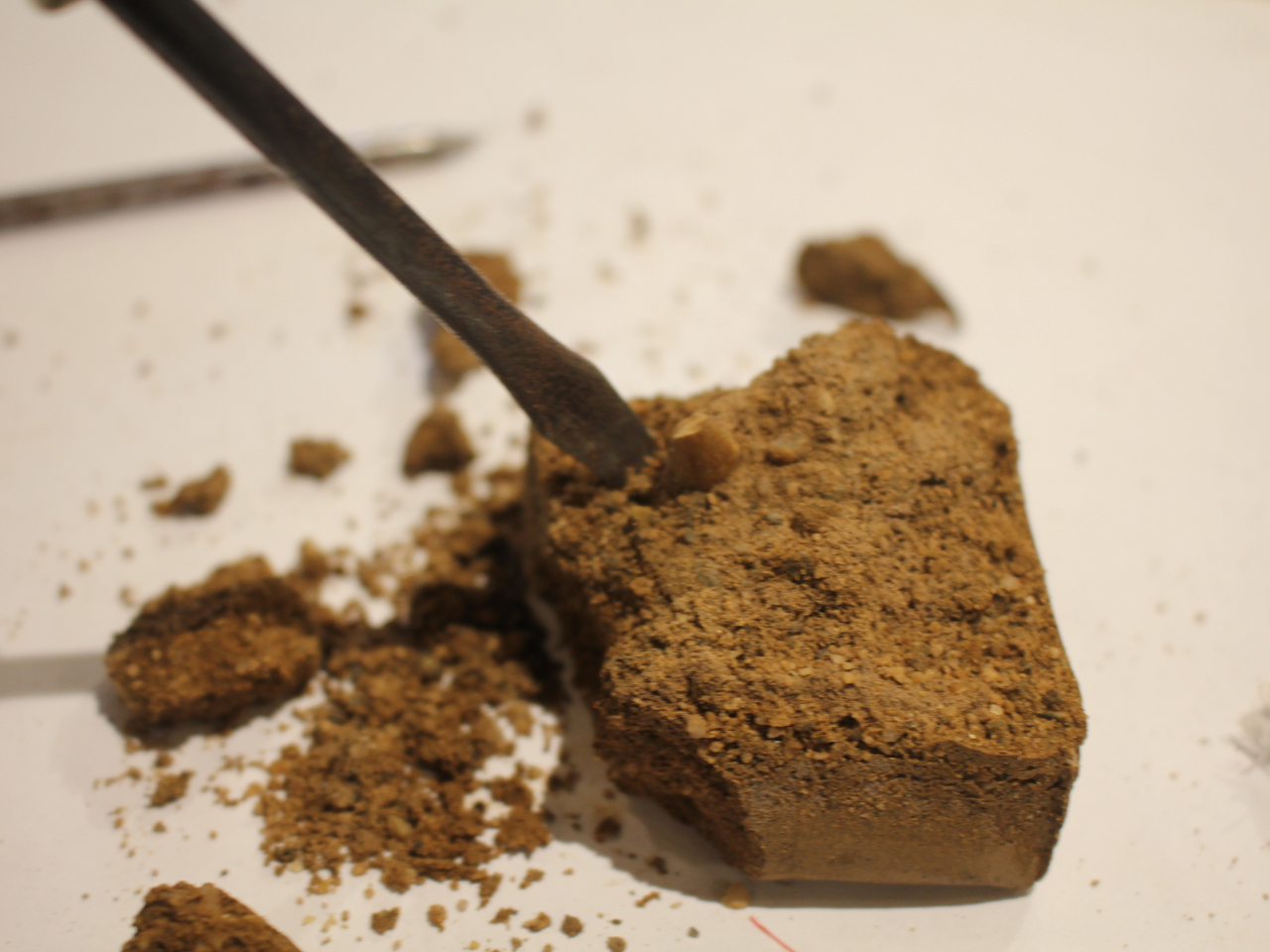 n}[ƃ^KlŁuĊāEEEvŔ@Iiʐ^͒ʏ̏TCYłAAiCg唭@͖̌PT{̑傫Ij