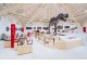ティラノサウルス全身骨格、巨大アンモナイトの化石も展示♪