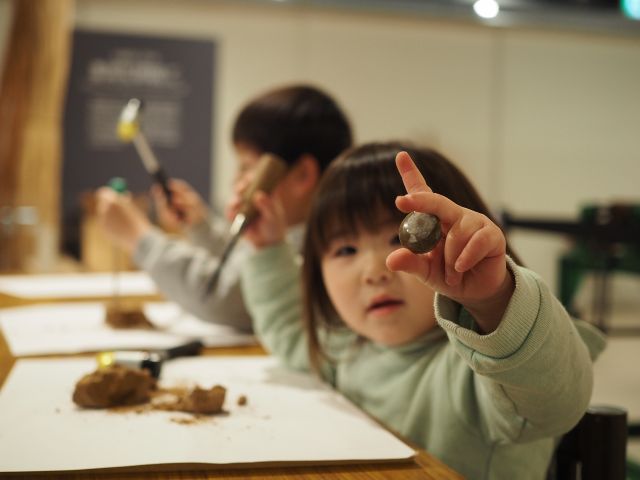 3つ見つかります!