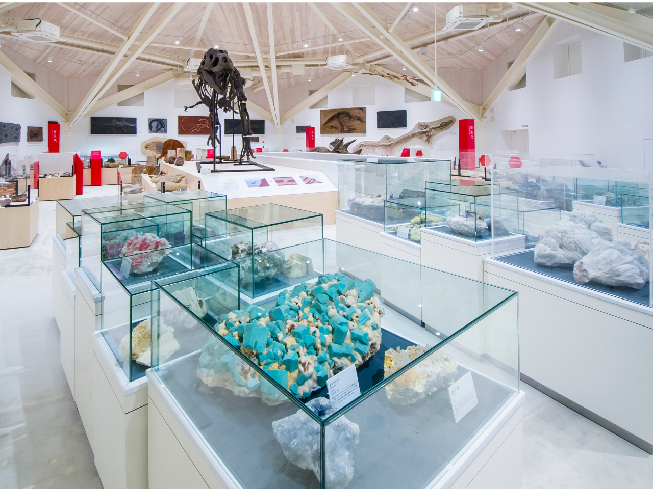 ƂȂ΂肾I QFuzE΁vR[i[