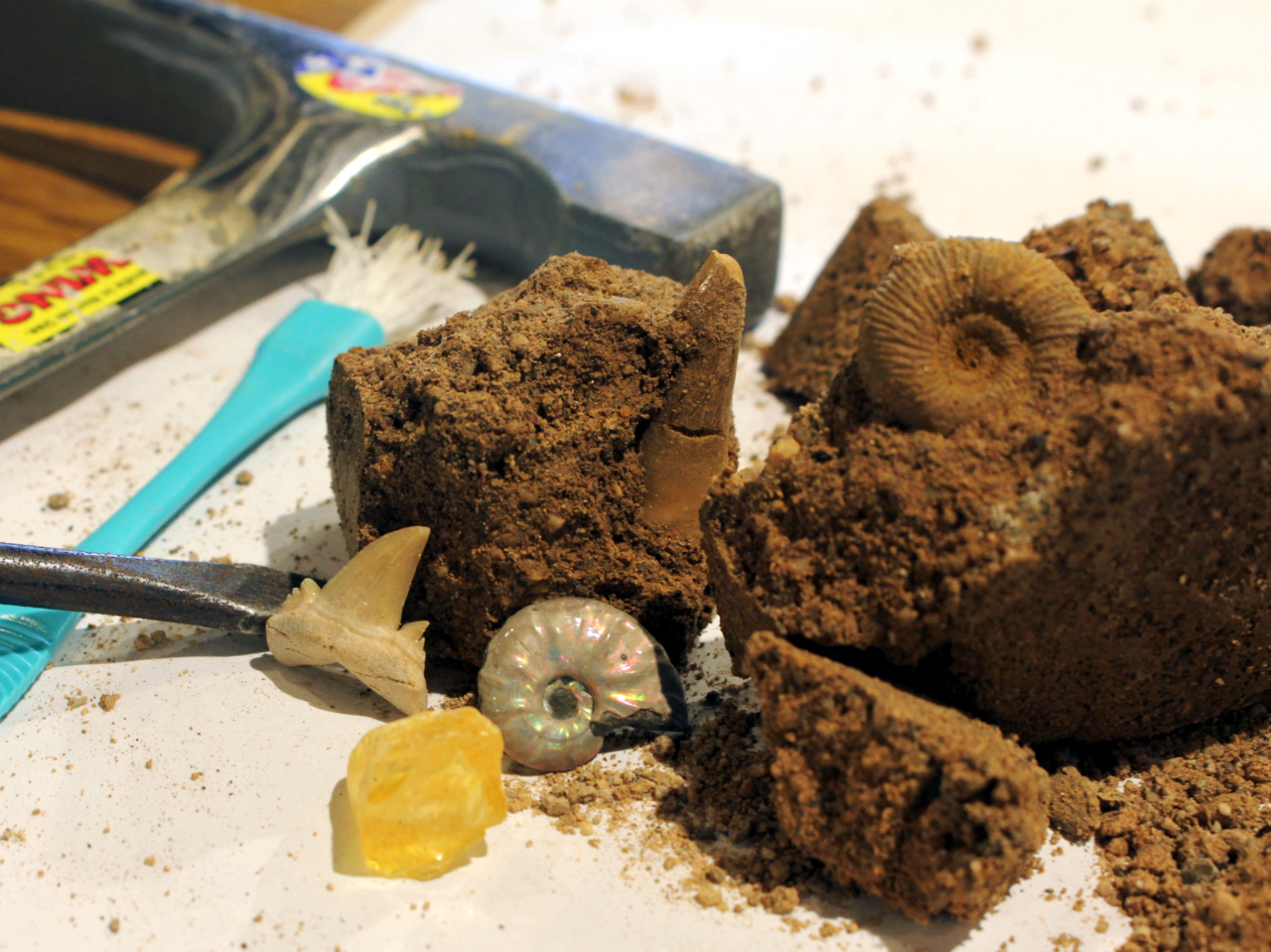 3܂Iiʐ^Ƃ͈قȂ܂j