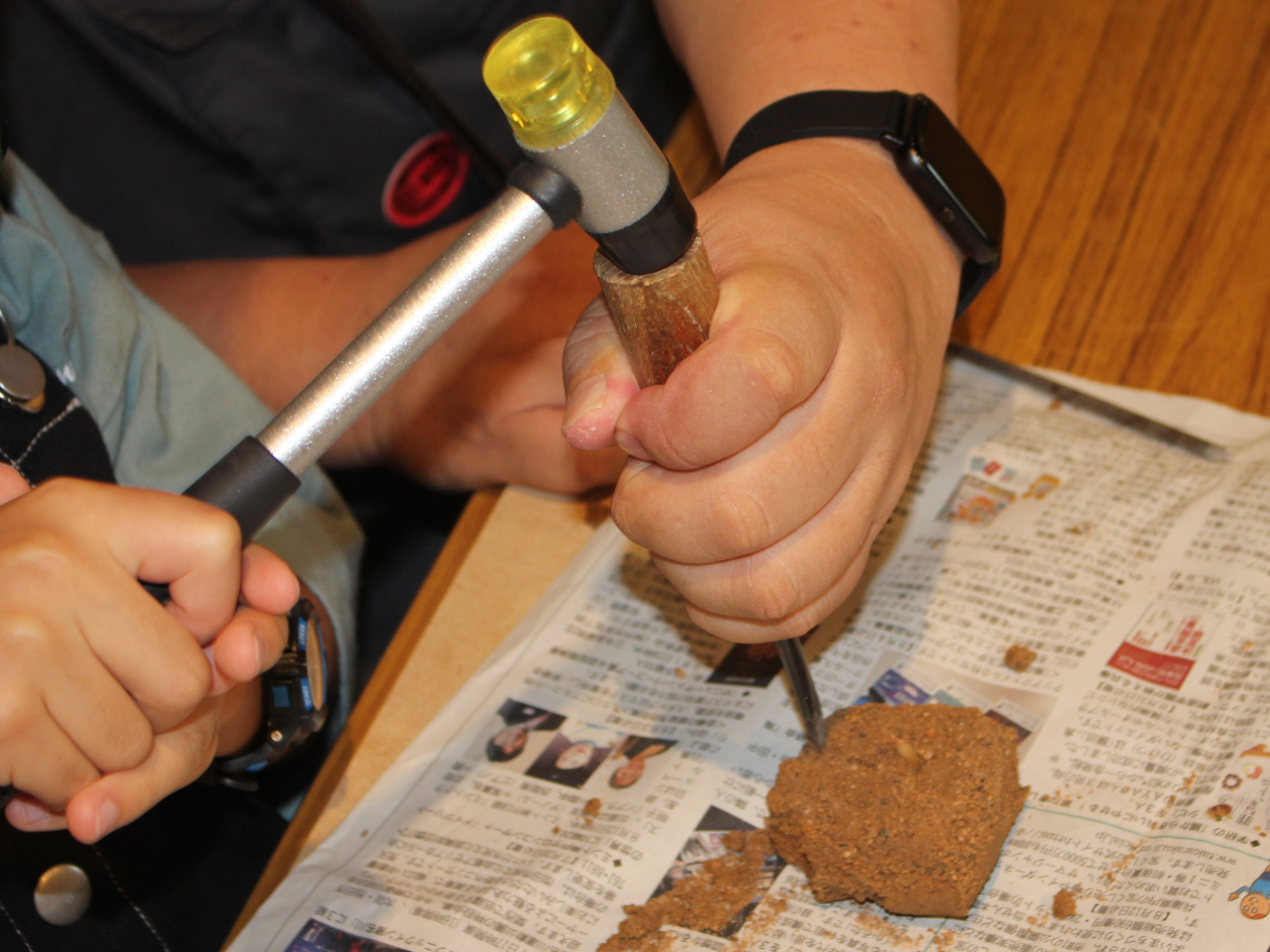 n}[Łu@ĊāEEEvŔ@Iiʐ^͒ʏ̏TCYłA唭@͖̌U{̑傫Ij