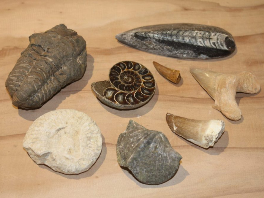 R炢łĂ܂ @ł邩͊Ă݂Ă̂y݁I