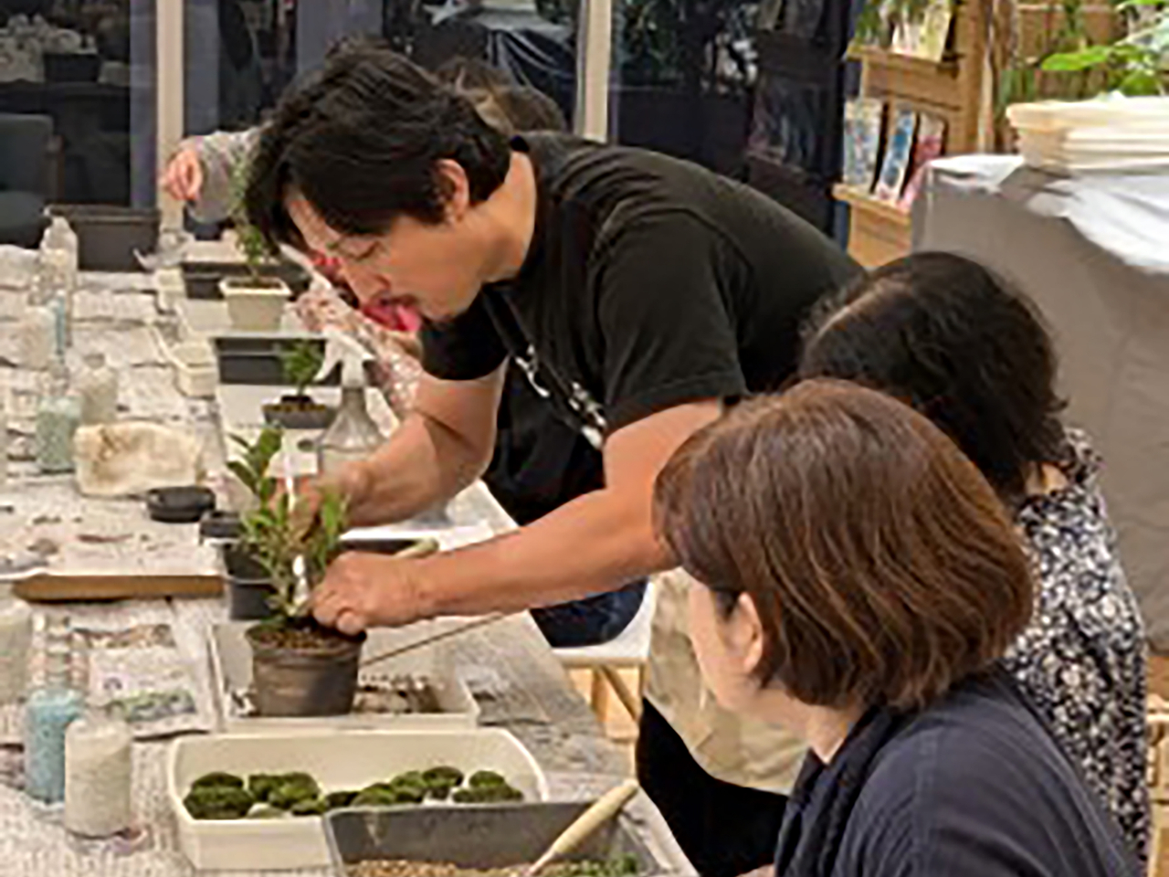 盆栽をもっと身近に～盆栽体験/鉢マニア - じゃらん遊び体験