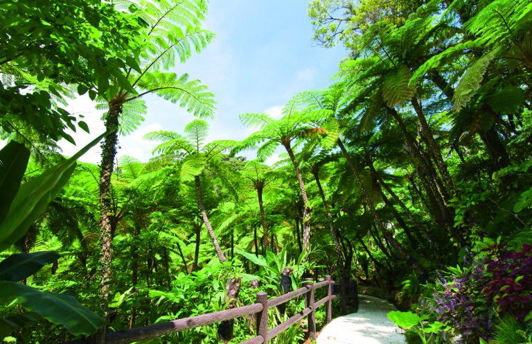 �G�߂ɉ������Ԃ�A�������y���݂��������܂����������Ԃ��������܂��̂ł������̍ۂ͐����x�����~�߂Ă��y���݉�������