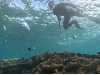 現地集合にする事により、お店に行くなどの無駄な時間を排除! 貴重なご旅行の時間を有意義にお過ごしできます。