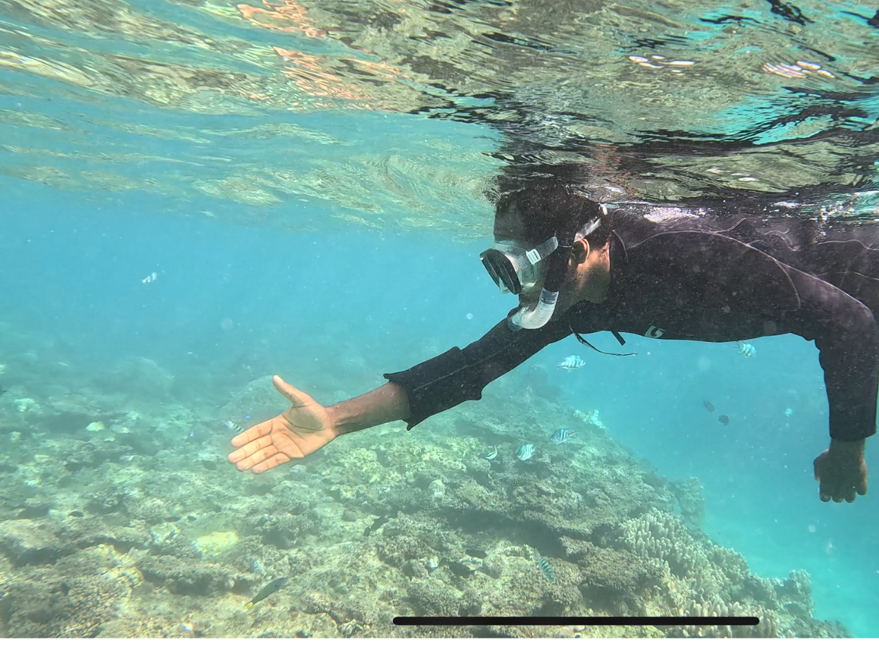 vX5000~ŁA ܂B@ŉj悤ɂȂAL͈͂jŊCKTɍsł܂B