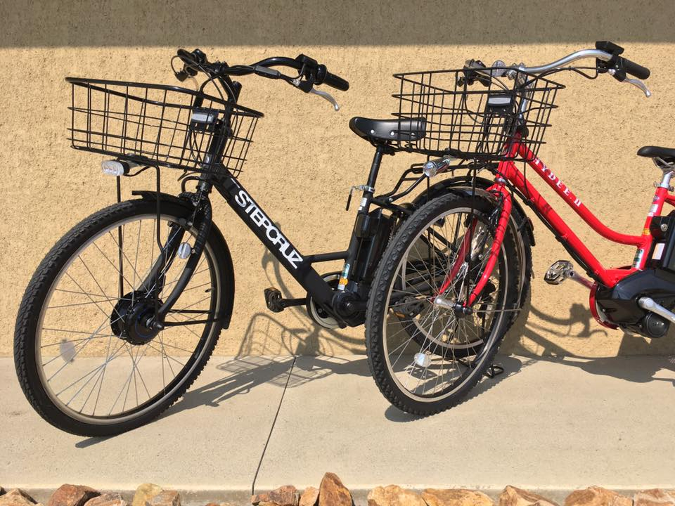 ̉w܂RVFWł̓^TCN݂̑osĂ܂I