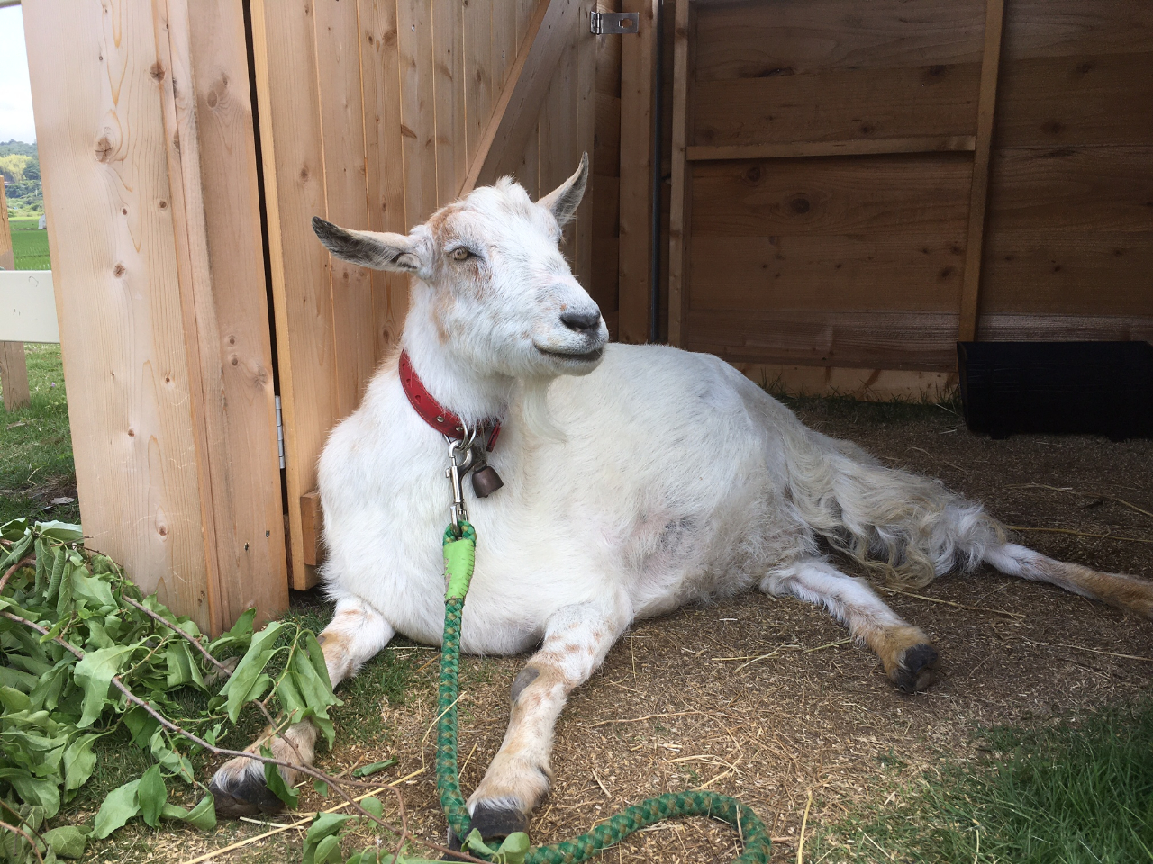 2021Ntɓ̉w܂MwɏACuvłBŐL̉̏ł̂тE肵Ă܂̂ŁAЗVтɍsĂ݂Ăc