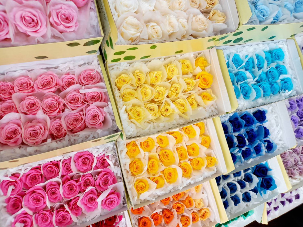 ̐FĖ܂B@̂y݂1łB