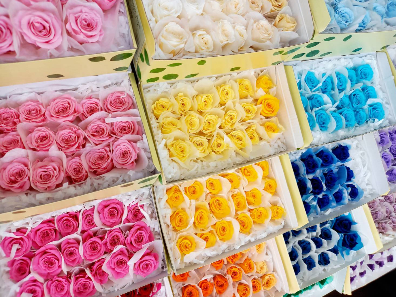 20Fȏ̂Ԃ玩̍D݂̐FIт܂