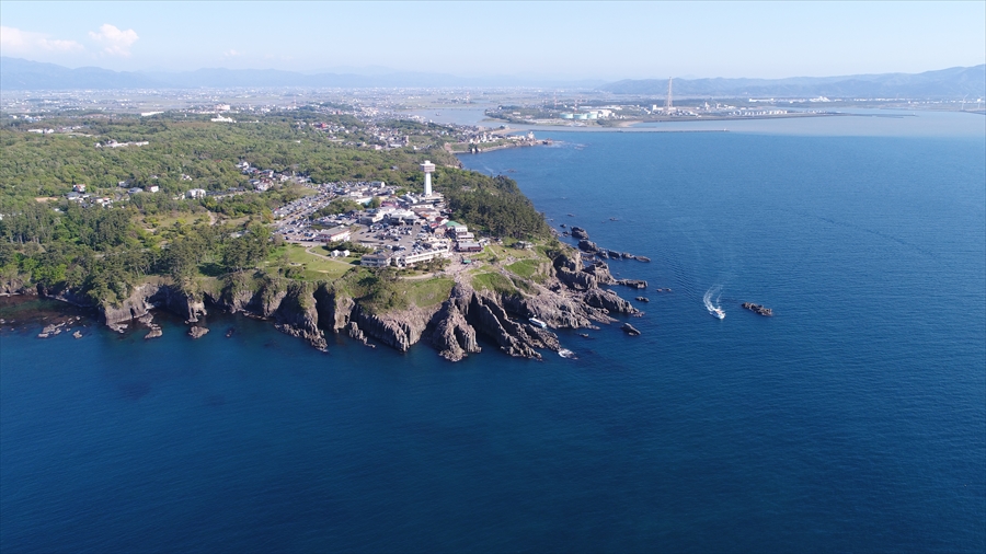 ���q�V�̉��i�ł��B�Y�����ʏ��i���x150���A����500���j����B�e���܂����B