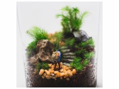 東京の苔玉作りランキングtop4 じゃらんnet 東京の苔玉作りランキングtop4 じゃらんnet