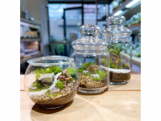 東京 清澄白河 苔のテラリウム体験 少人数制 Feel The Garden じゃらん遊び体験 東京 清澄白河 苔のテラリウム体験 少人数制 Feel The Garden じゃらん遊び体験
