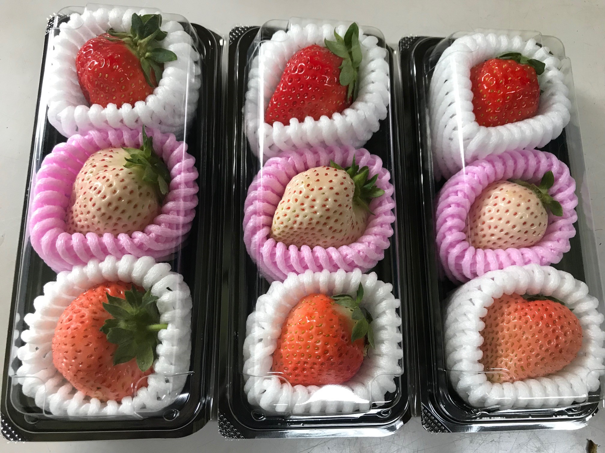 sN@@ԃC`S̐Hהׂo܂B