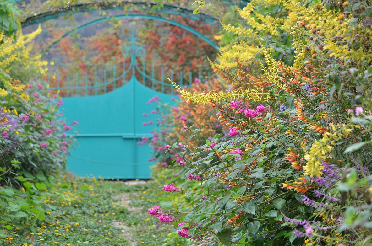 Ԃ̒-H̕ii10{Bej@`FʖLȂ͉̒Ƃ̃pbĝ悤ȒłB`