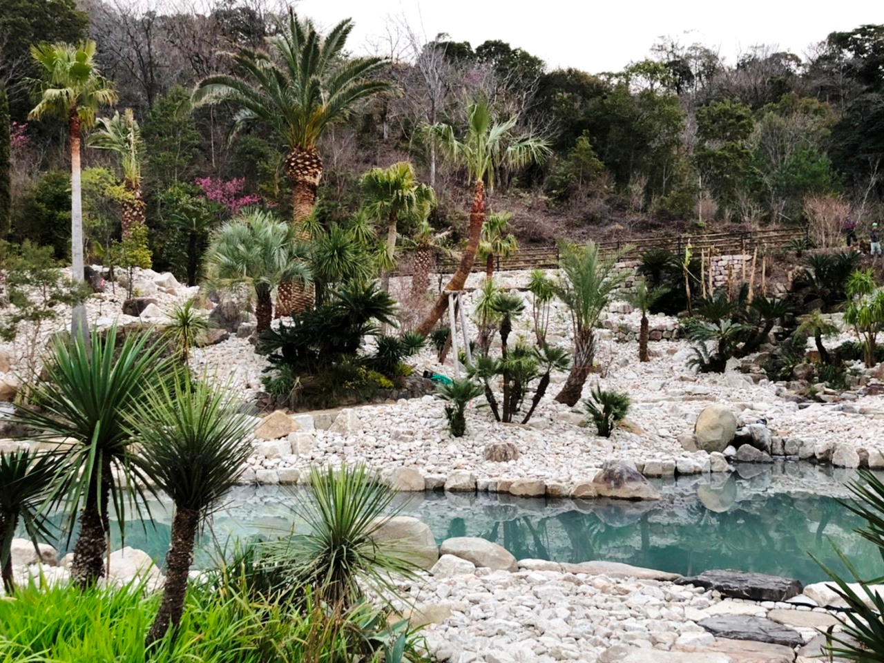 2000N ̒낪u{fCQ̒vց@`kC^AnC݂̒ {fBQ Ńl͌ƐFʂɖA̍ic܂B`