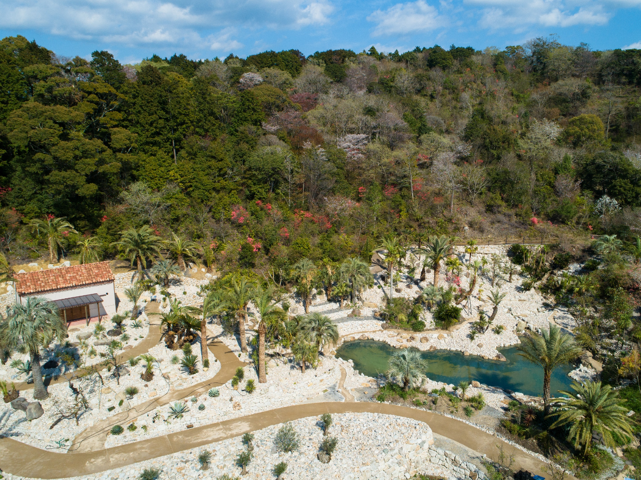 j[Au{fCQ̒v`̐V̓{fBQ̌Pl̍iƒnC̐E甭zđꂽEň̃IWi̒łB`