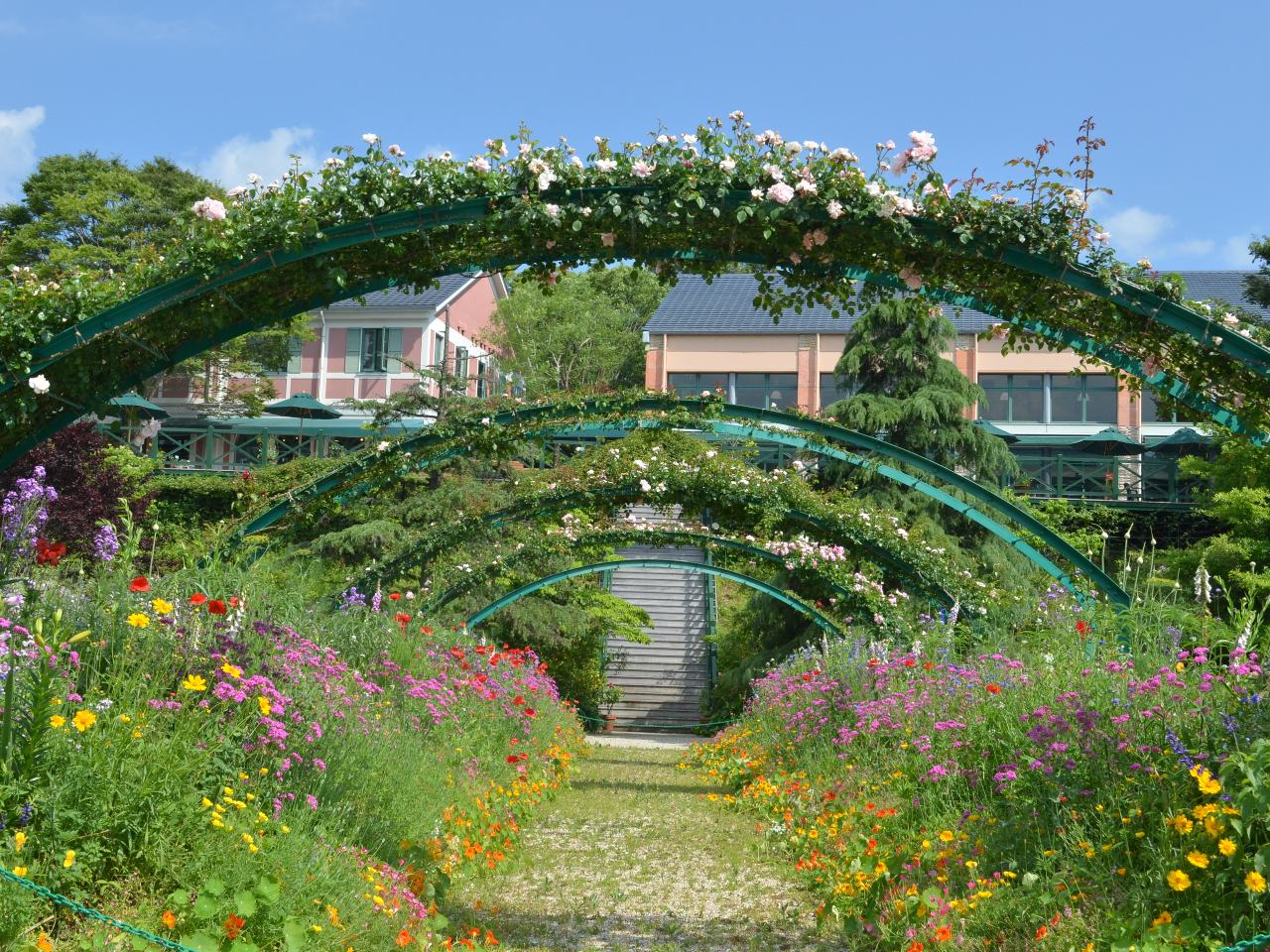 Ԃ̒@KN̋G߁@i5{Bej@`l̒ł5{6{܂łKN̋G߁@QOO/TOO{ʂ܂`