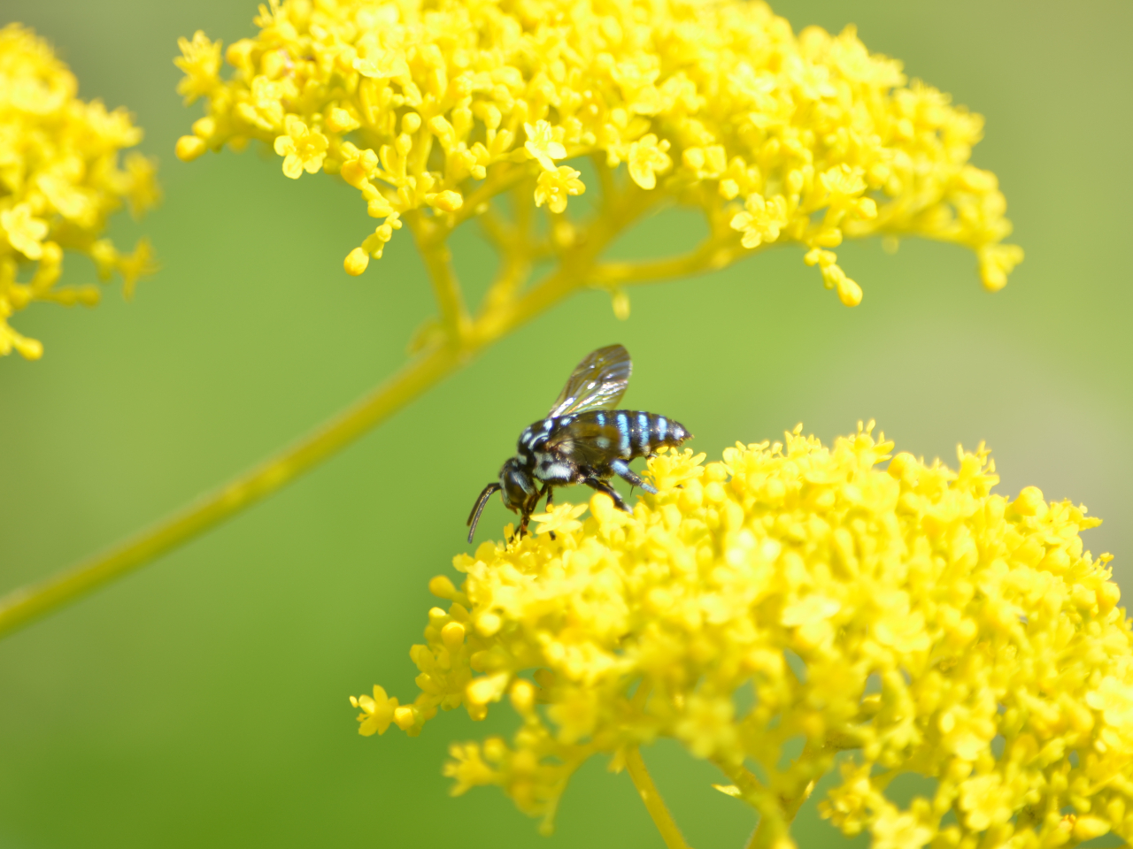 uK^ԖIvu[r[íFnio`j@`l̒ł́AV`XԂɌ邱Ƃł܂B`