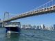 レインボーブリッジをくぐるクルーザー