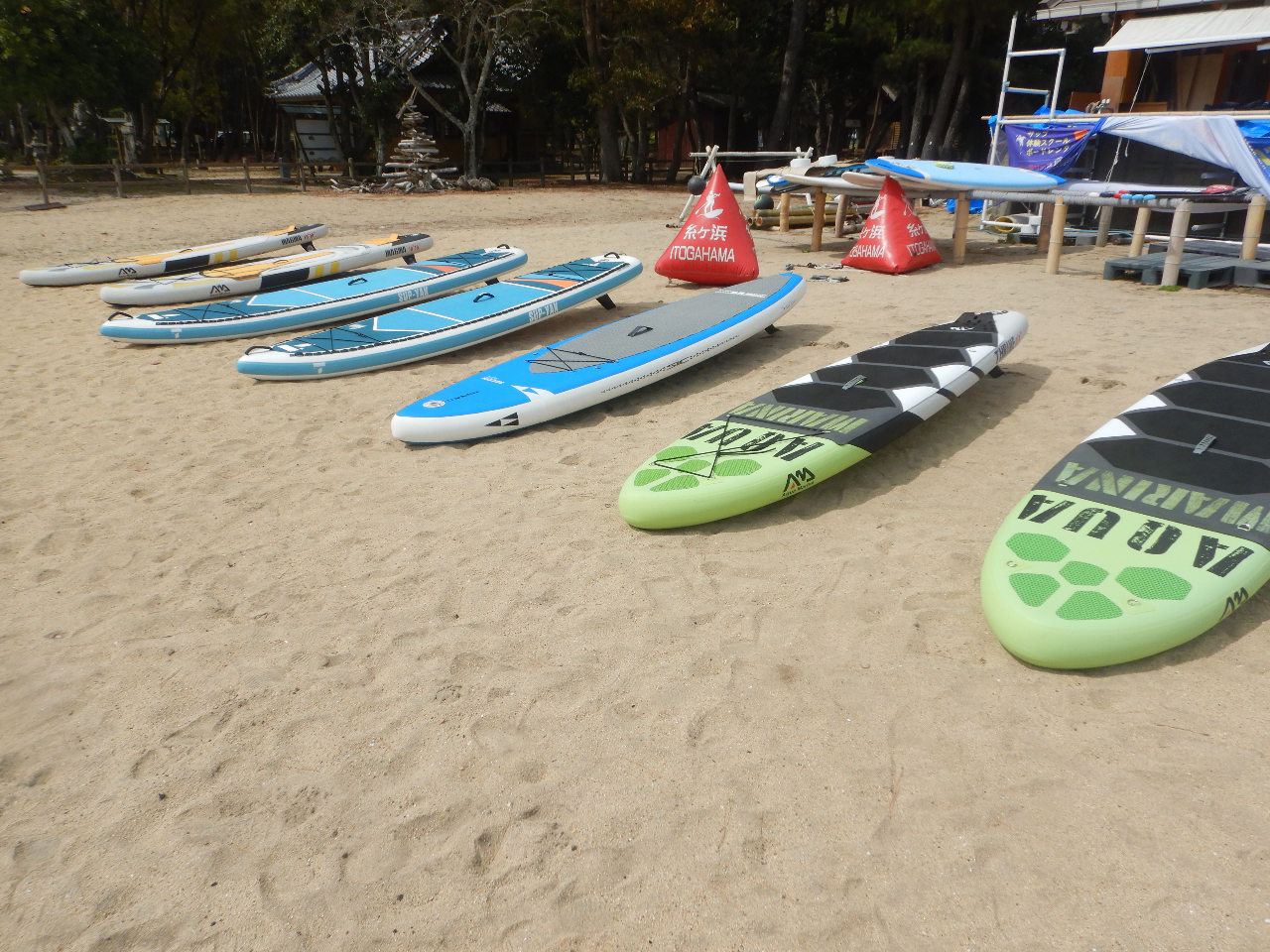 {[h͗p҂̌oƈ萫lĎOɂIтĂ܂B