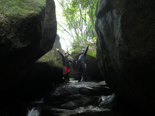 森とコケ、渓谷美が美しい
