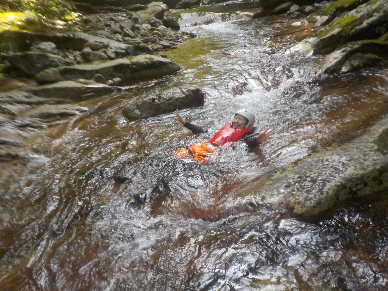 CtWPbg͂̕𗘗pẴvJvJV̌