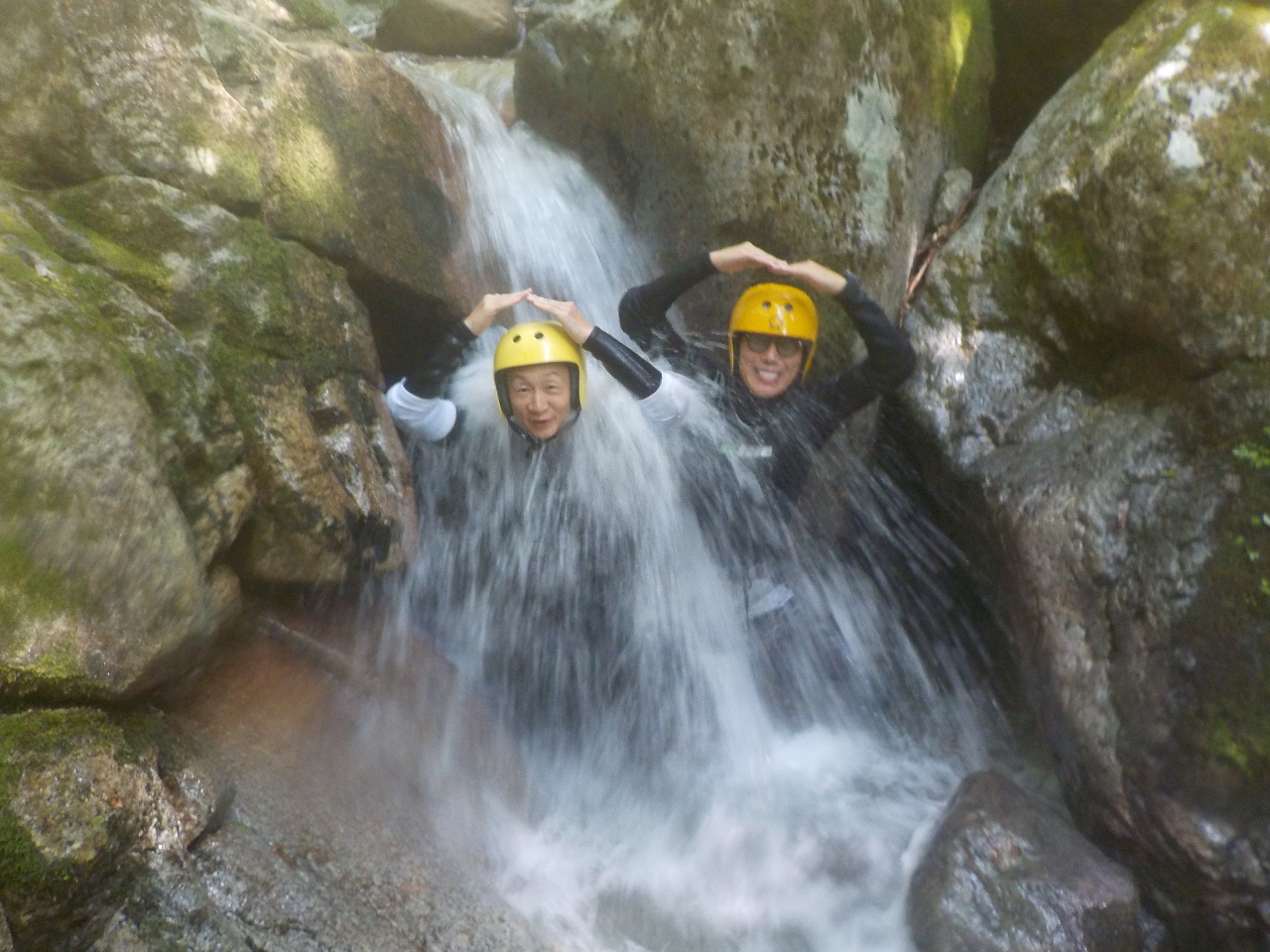 �ΏƂ����̂͑�ɑł���ăN�[���_�E��