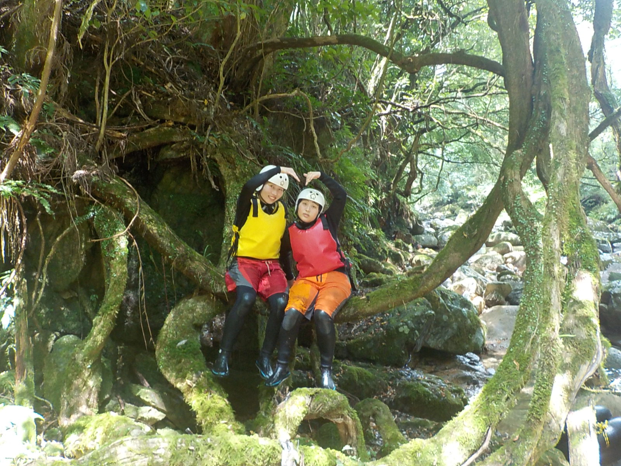 �X�̃I�u�W�F�𗘗p���ĉf���ʐ^�Ƀ`�������W