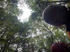 季節限定!?「樹海のハートマーク」どこにあるか、さがしてごらん。