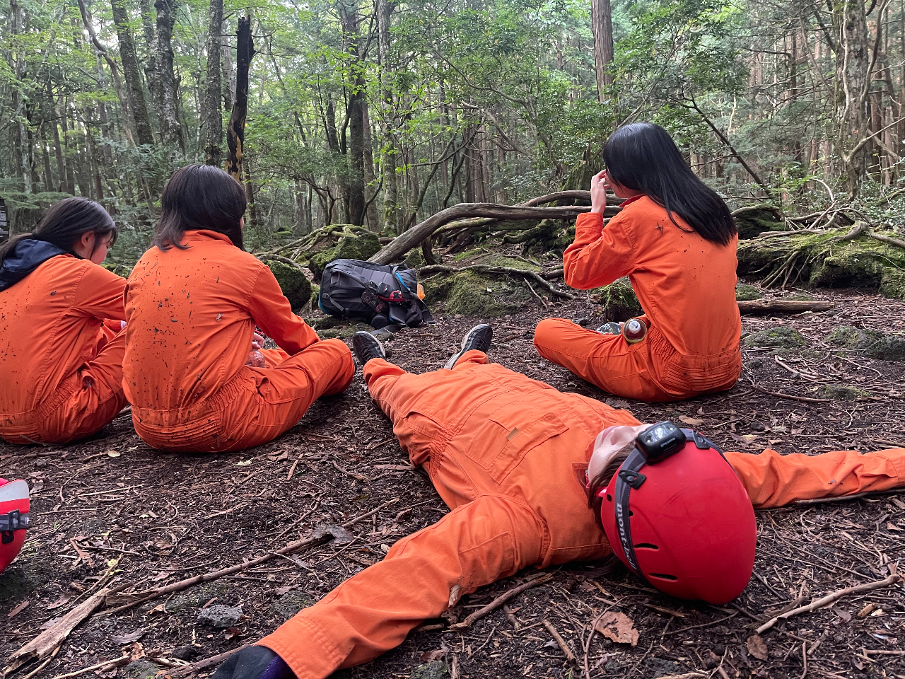 uSgŎRvnɐQ]AԒႢ_ŐXグB|IȎRSgŊB