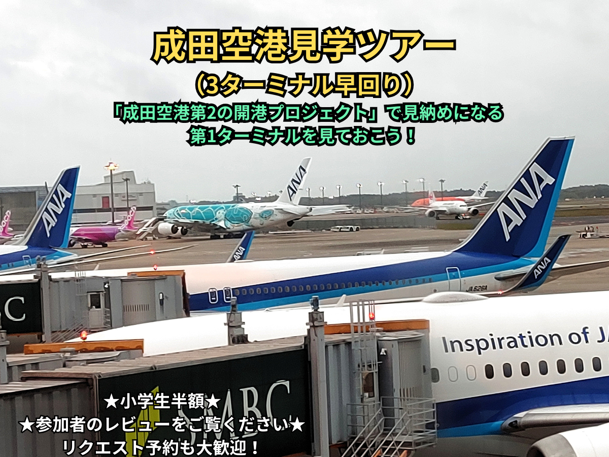 成田空港見学ツアー（3ターミナル早回り）★「成田空港第2の開港プロジェクト」で廃...