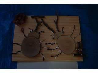 ふくのね 自然の素材を使った貼り絵体験 森と暮らすどんぐり倶楽部 ふくのね 自然の素材を使った貼り絵体験 森と暮らすどんぐり倶楽部