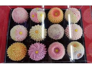 和菓子作り 季節の和菓子2種類つくれます 菓子処 まつもと じゃらん遊び体験