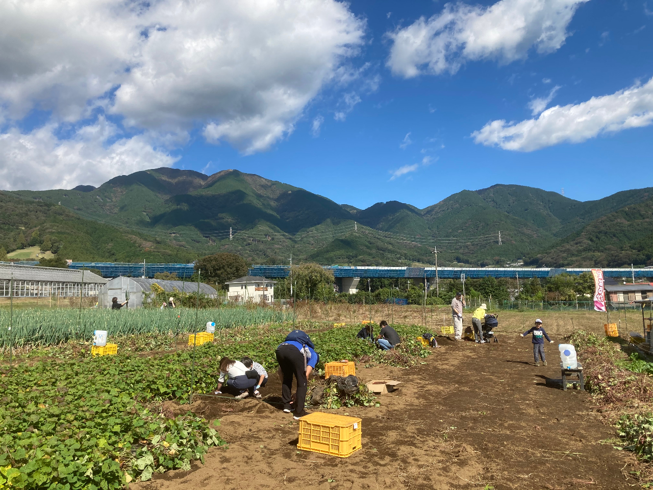 ƑŊył܂B̂yY؂̓lMBŎn܂B