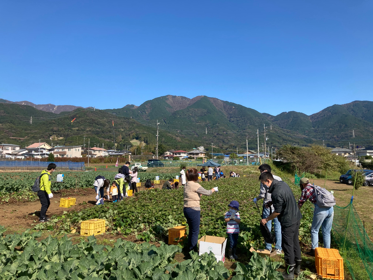 ３歳の子も楽しめました 秦野いとう農園の口コミ じゃらんnet